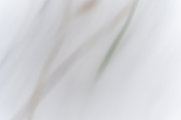 抽象的冬季背景，柔和模糊的线条和浅色调暗示着雪覆盖的植被。图片下载