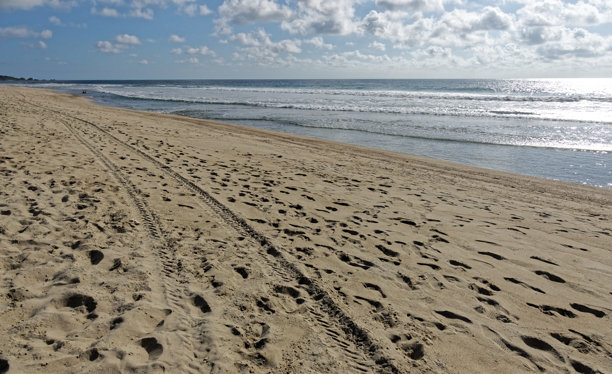 宁静海滨的安详海滩时光图片下载