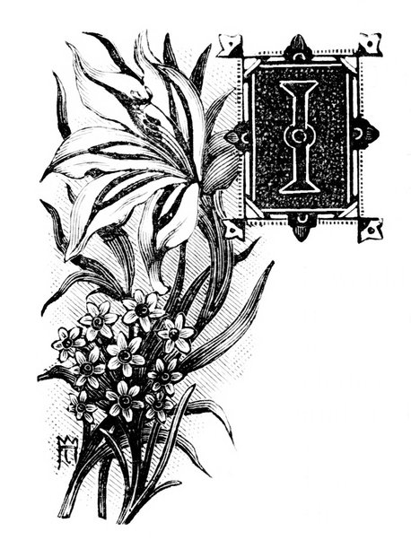 字母I，百合花图片下载