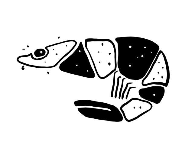 海洋生物 - 时尚的黑色扁平化矢量虾插画图片下载