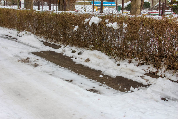 2025年1月1日，波兰华沙。冬季华沙，住宅楼花园旁，雪覆盖的树篱灌木丛，点缀着融化的雪迹。高质量照片。图片下载