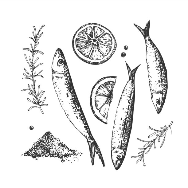 海鲜矢量插画集。沙丁鱼、鱼、柠檬、盐、胡椒和迷迭香，墨水手绘。用于标签设计和餐厅菜单的素材。图片下载