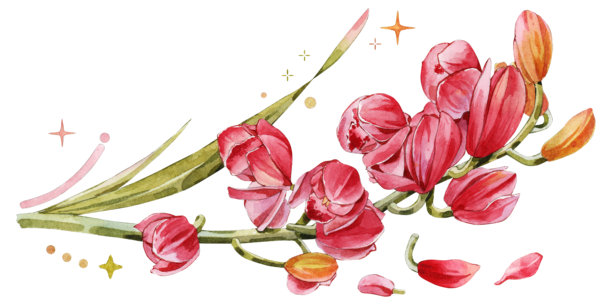 水彩粉红玫红兰花花朵与花苞插画图片下载