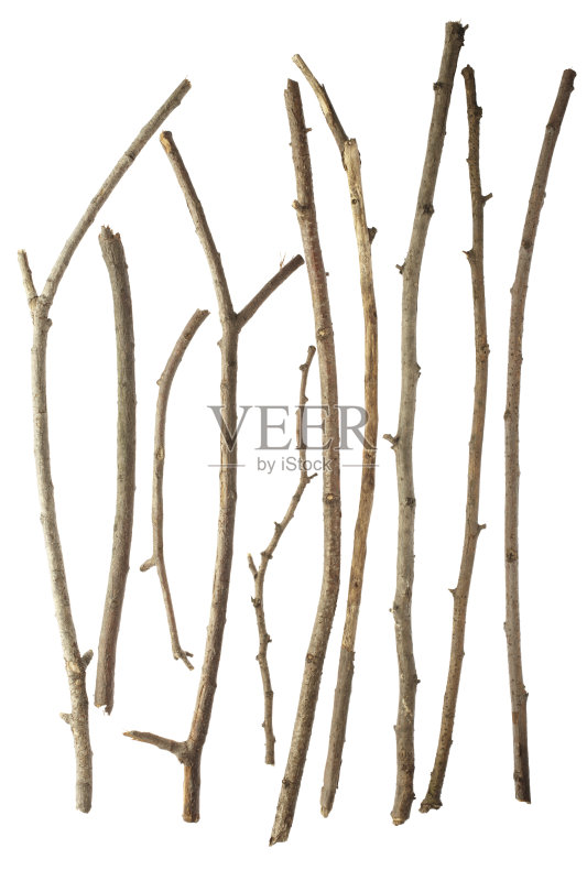 棒正版图片素材