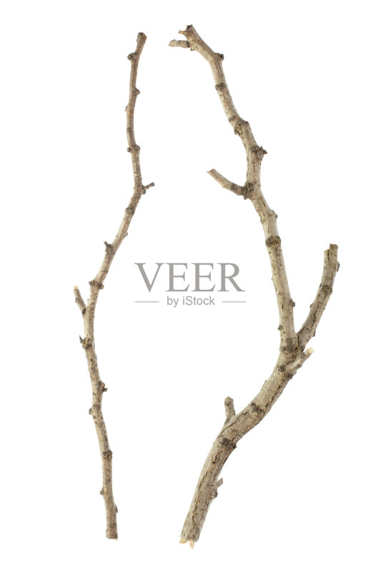 坚持正版图片素材