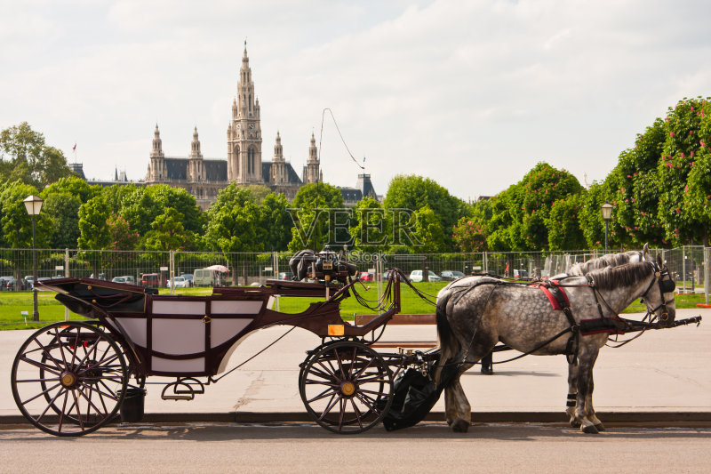 市议会厅奥地利的维也纳正版图片素材