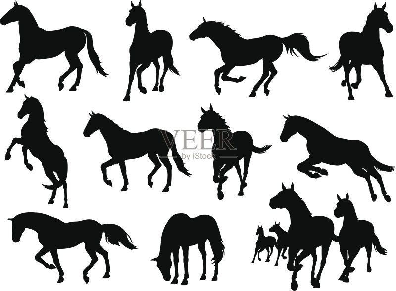 马的图标显示在不同的位置跑正版插画素材
