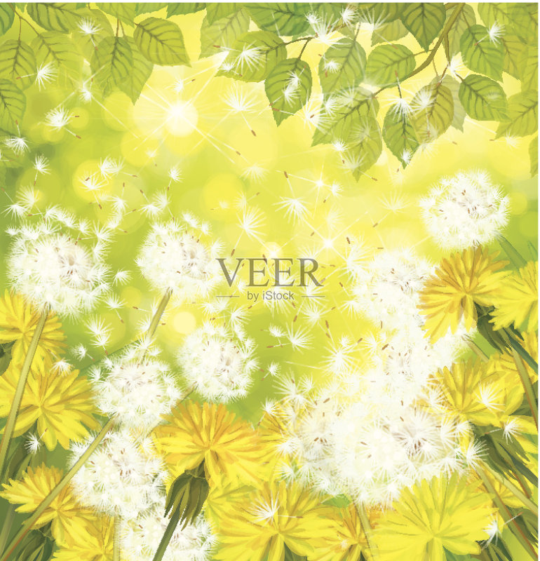 向量春天背景与黄色蒲公英。正版插画素材