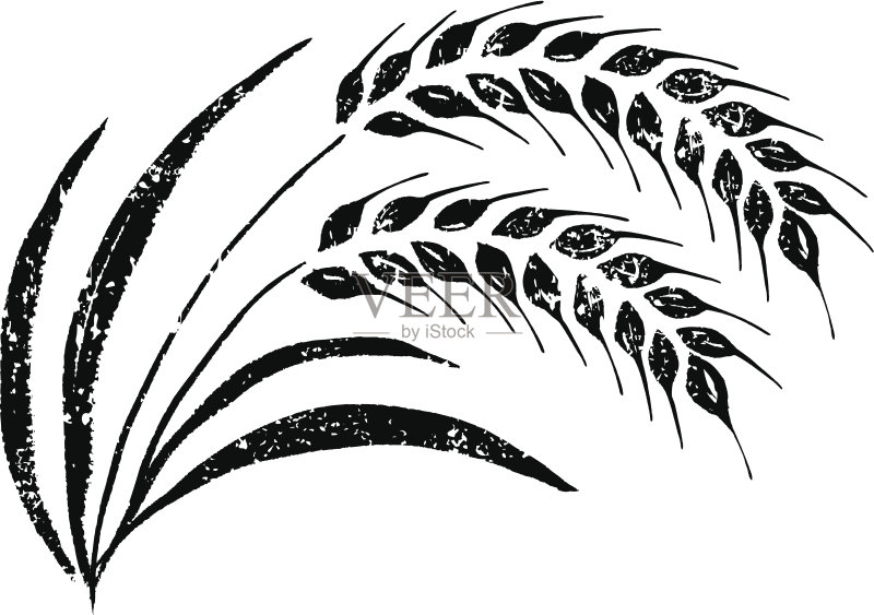 手绘大米正版插画素材