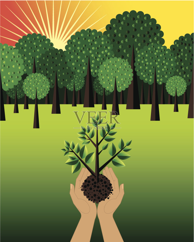 答案:C正版插画素材