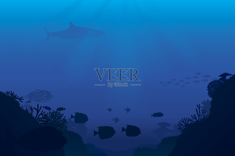 海洋生物正版插画素材