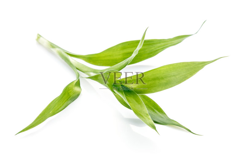 竹子正版图片素材