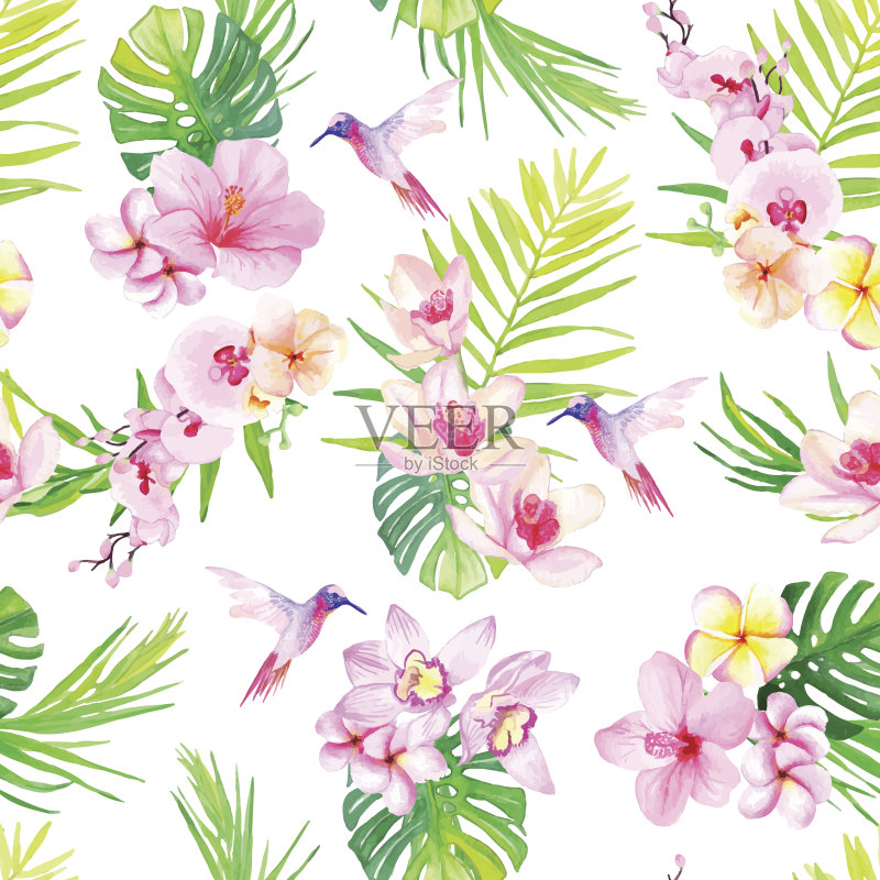 蜂鸟和花无缝矢量图案正版插画素材