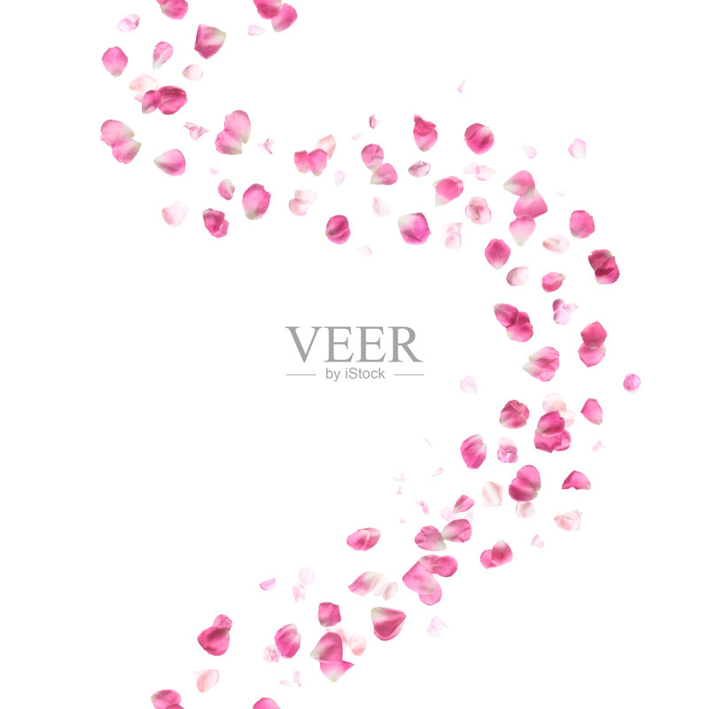 无缝粉红玫瑰花瓣曲线正版图片素材