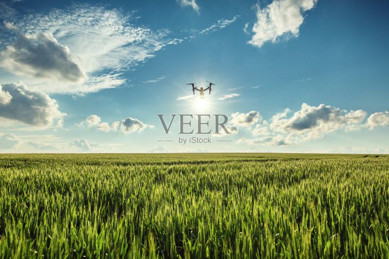 无人机和绿色麦田正版图片素材