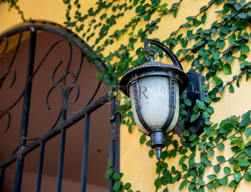 常春藤黄色的混凝土墙上挂着玻璃灯笼正版图片素材
