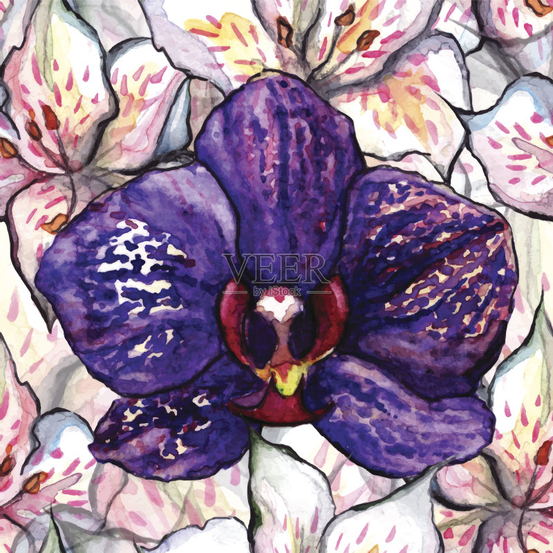 水彩花兰花无缝纹理背景矢量图案正版插画素材