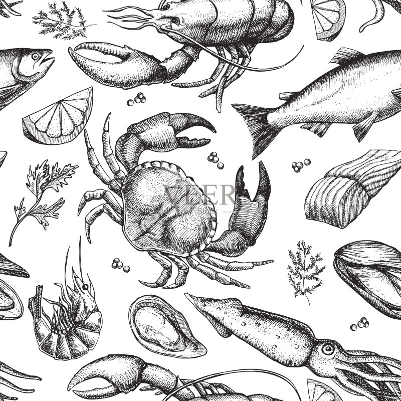 矢量手绘海产品图案。的插图正版插画素材