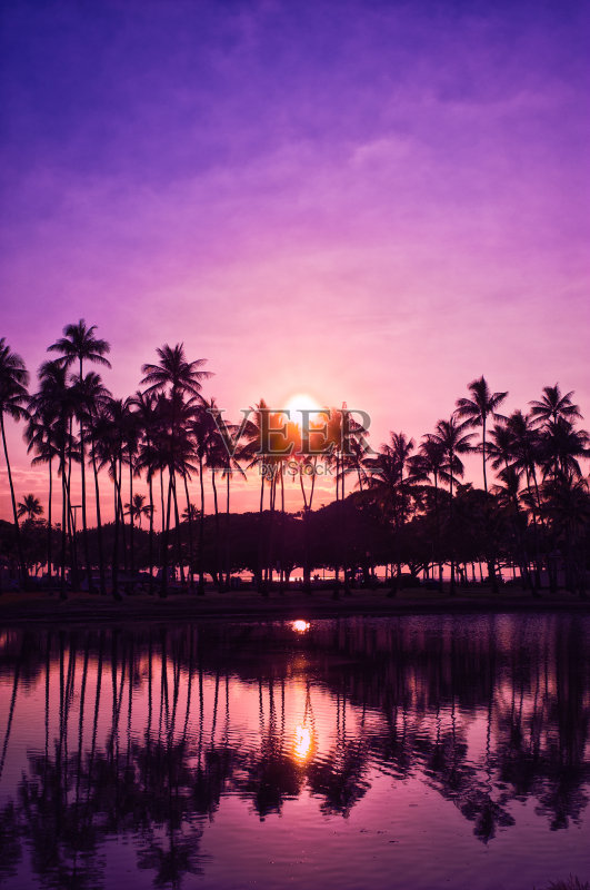 棕榈树和日落，夏威夷，正版图片素材