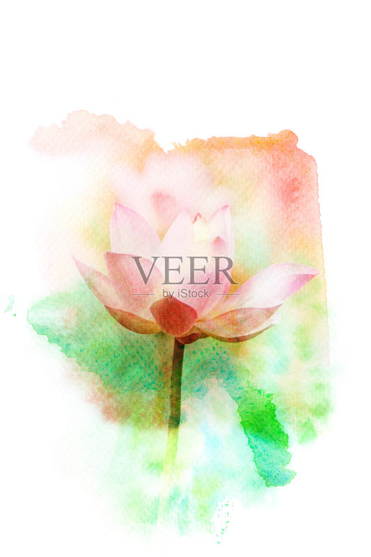 花水彩插图。正版元素素材