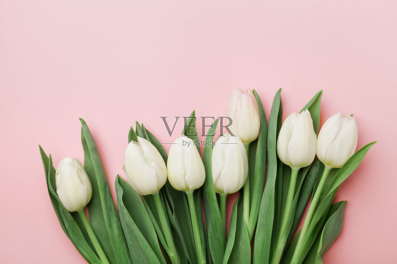 春天的郁金香花。向妇女们致以问候，母亲节。平的。正版图片素材