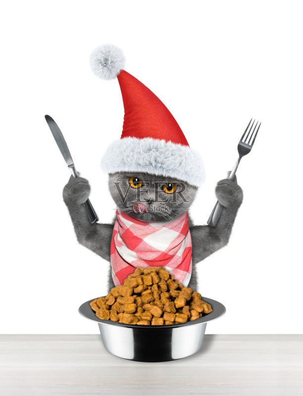 圣诞猫想吃东西，拿着刀叉正版图片素材