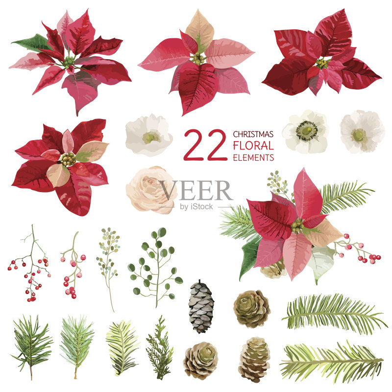 一品红花和圣诞花卉元素-在水彩画正版元素素材