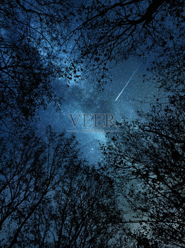 落在树上的星星正版图片素材