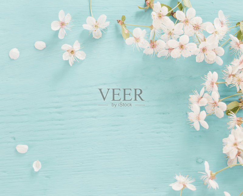 木制背景上的樱桃花正版图片素材