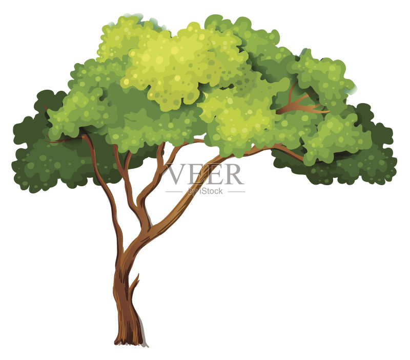 树正版插画素材