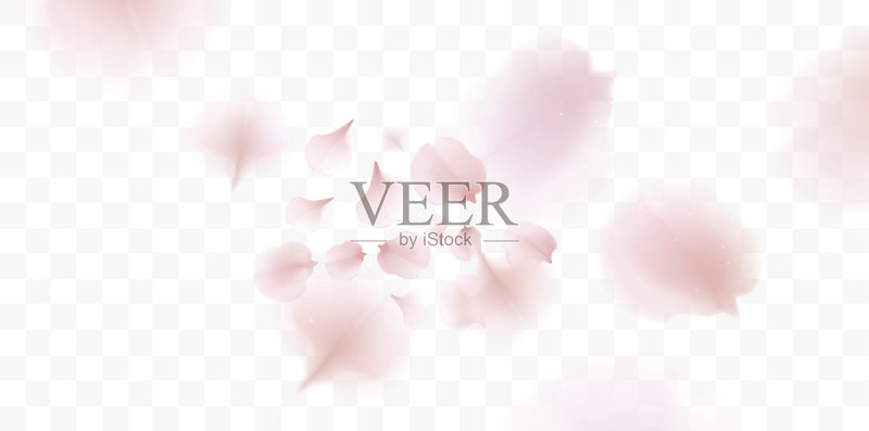 粉红色的樱花花瓣飘落的背景正版插画素材