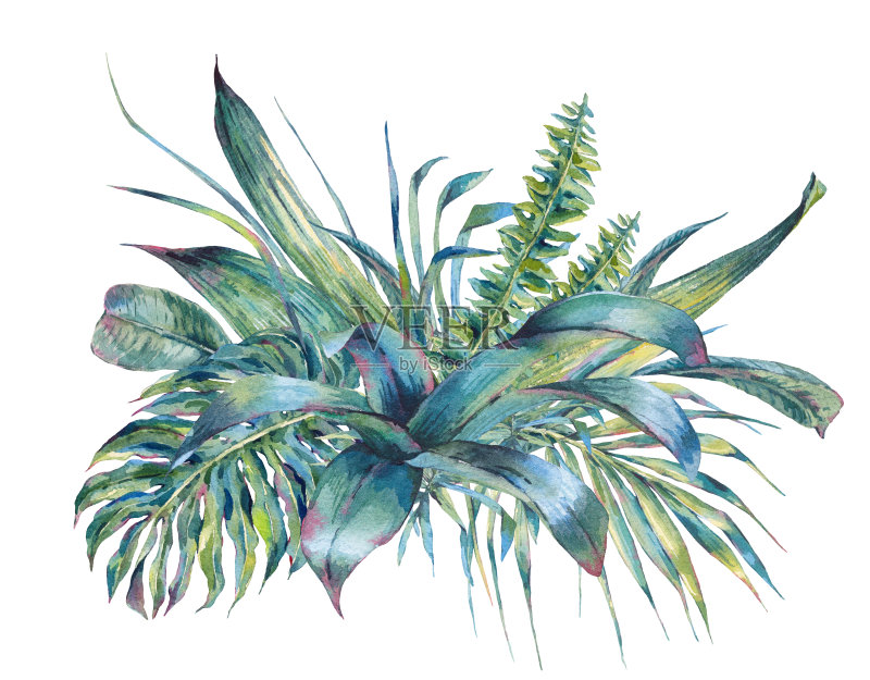 自然叶异国水彩贺卡正版插画素材