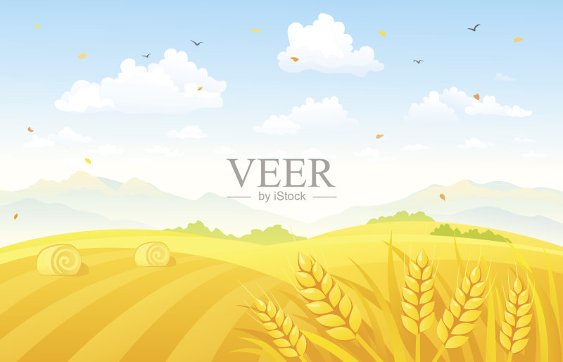 秋天的田野背景正版插画素材