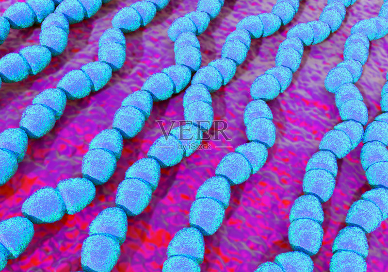 粪肠球菌或粪链球菌正版图片素材