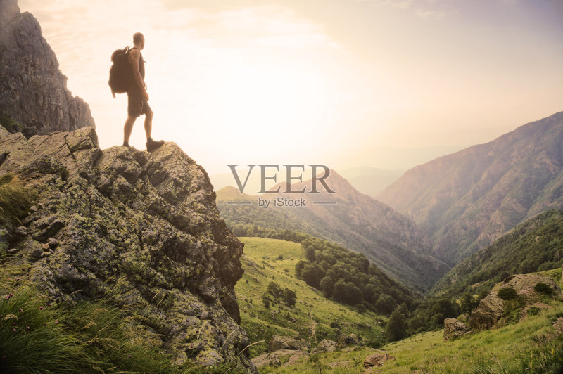 自然世界的自由正版图片素材