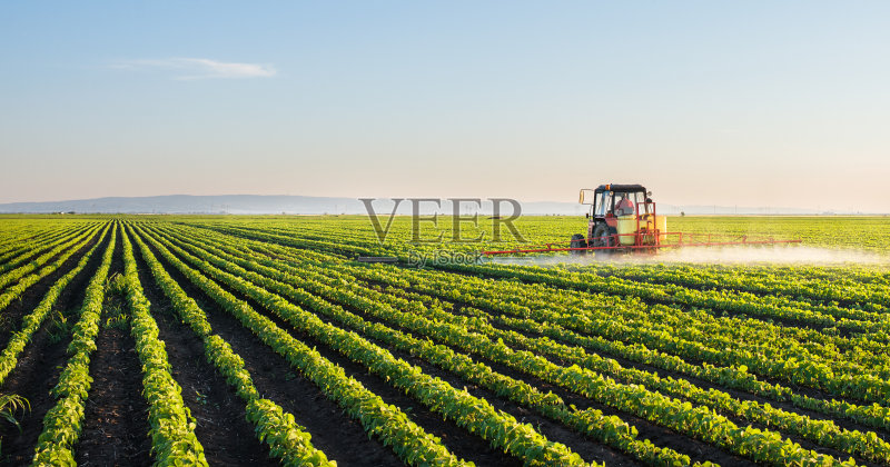 拖拉机喷大豆田正版图片素材