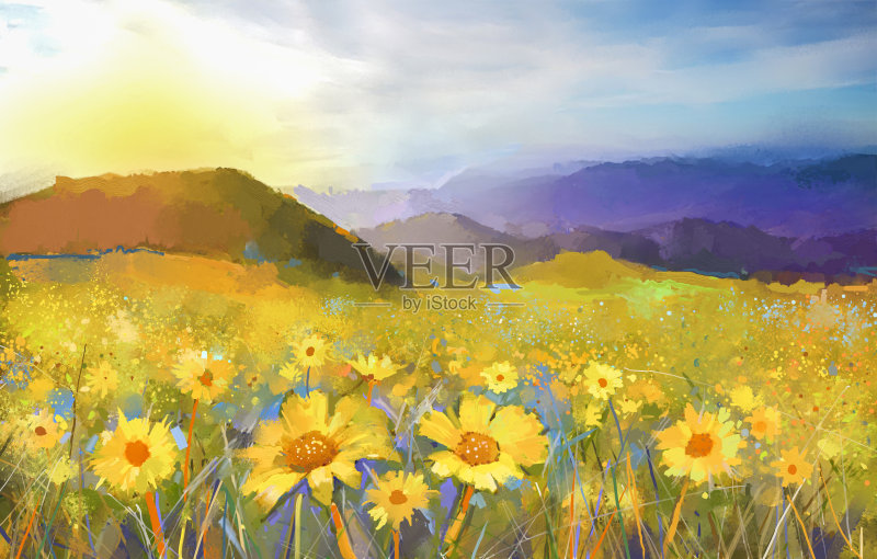 雏菊花开花。一幅乡村日落风景的油画正版插画素材