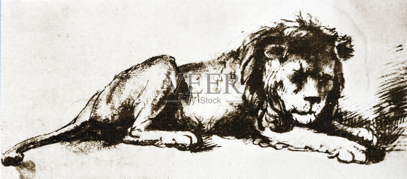伦勃朗狮子素描插图正版元素素材