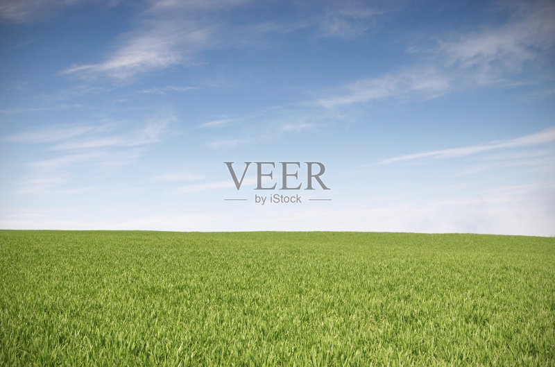 绿色的田野和蓝色的天空景观正版图片素材