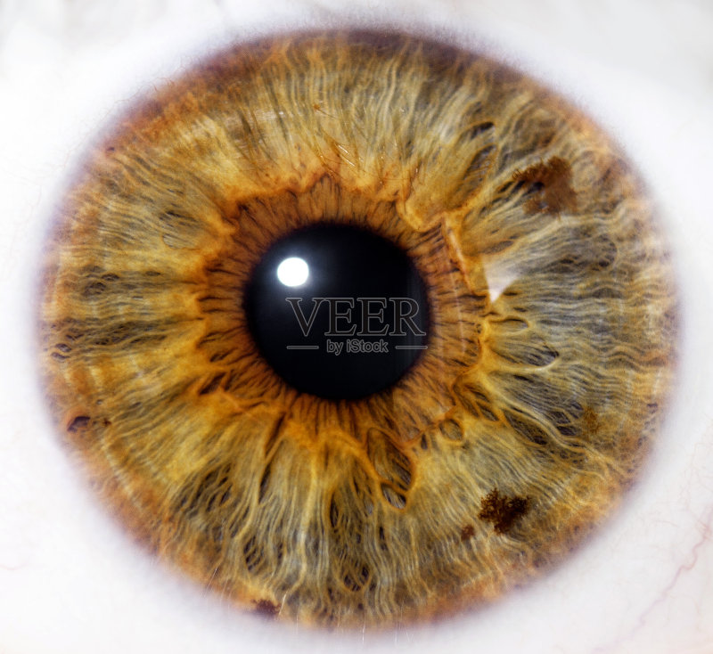 眼球-特写正版图片素材
