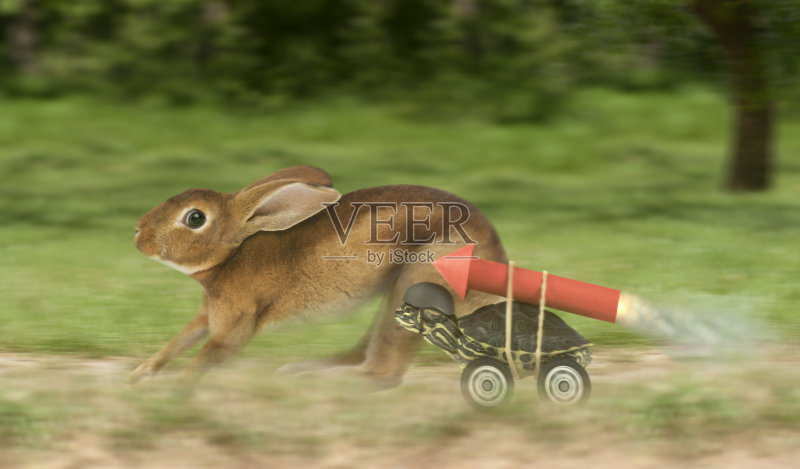 乌龟和野兔赛跑不同正版图片素材