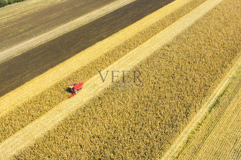 在田间工作的联合收割机正版图片素材