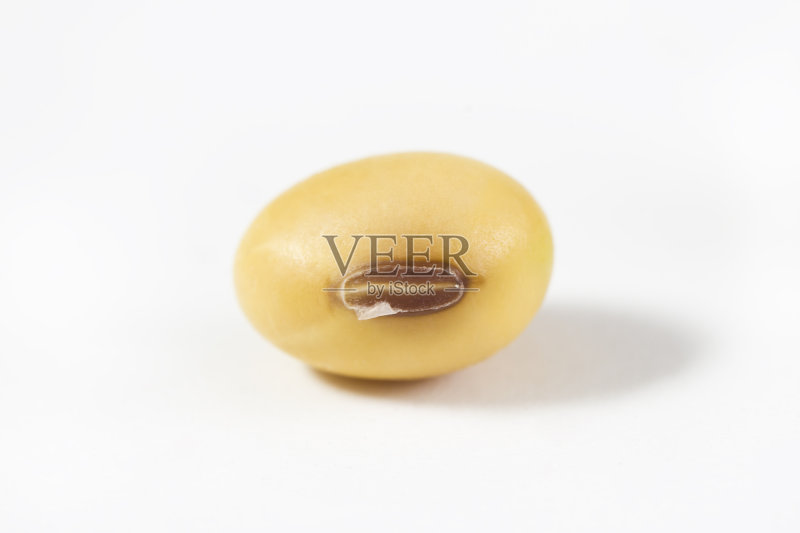 在白色背景上分离的大豆种子正版图片素材