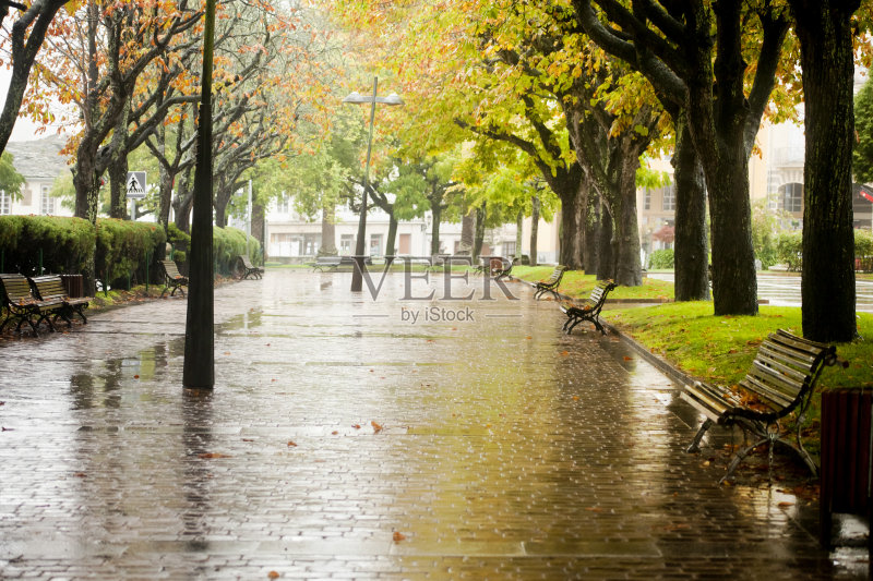 秋天的时候在城市。正版图片素材