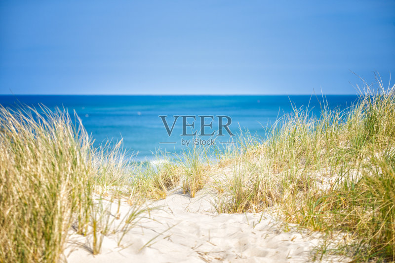 丹麦的沙丘正版图片素材