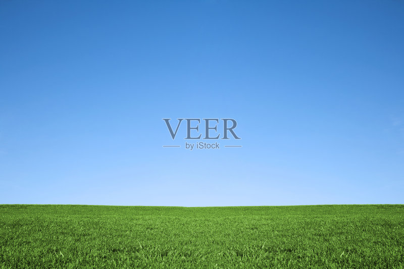 郁郁葱葱的绿草和凉爽的蓝天背景自然田野正版图片素材