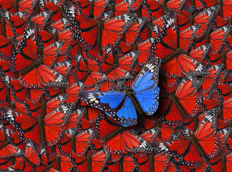 蝶泳金牌的背景正版图片素材