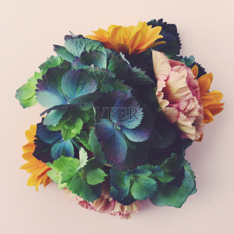 鲜花静物正版图片素材