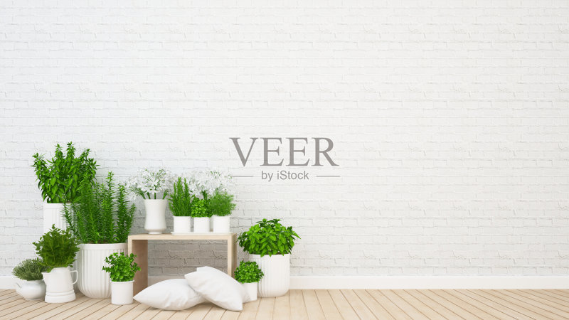 咖啡厅或咖啡厅的生活区和室内花园正版图片素材