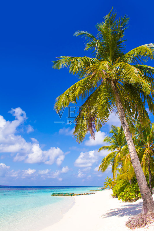 Velaa私人岛屿，马尔代夫，完美的蜜月目的地正版图片素材